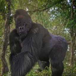 Gorilla for Genesis 8 Male