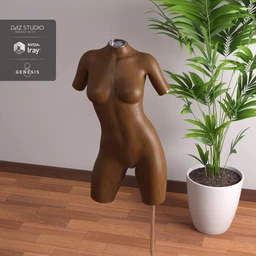 Mannequin Kit for Genesis 8 Female