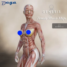 Moonbeam’s Bring me Tulips