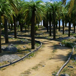Palm Road
