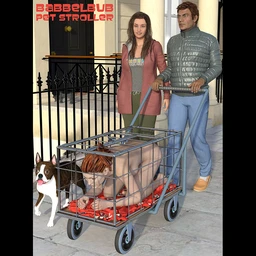 Pet Stroller