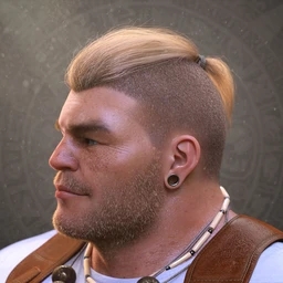 Top Knot Hair and Beard for Genesis 3 and 8