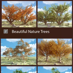 Beautiful Nature Trees