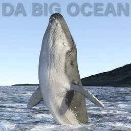 DA Big Ocean