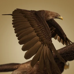 Deepsea’s Eagle Aniblocks and Texture Add-On