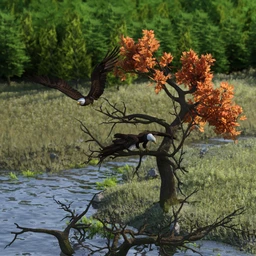 Deepsea’s Eagle Tree Environment