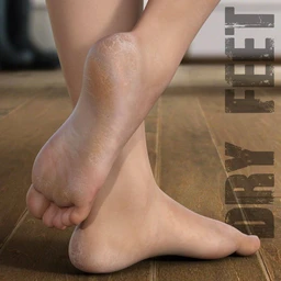 Dry Feet for Genesis 3 and 8