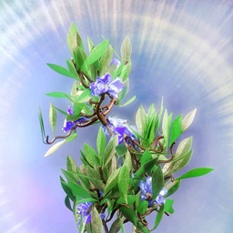 Jepe’s WonderShrub