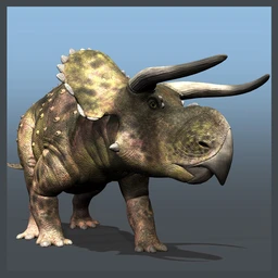 Nasutoceratops DR