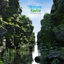 Nature Ravine