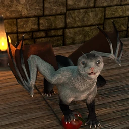 Oso Draco Furo for Daz Dragon 3