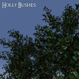 Predatron Holly Bushes