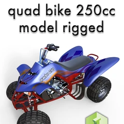 Quad Bike 250cc