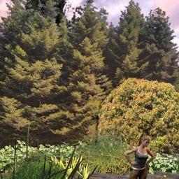 SY Fast Foliage Iray