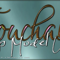 Touchable Top Model Updo