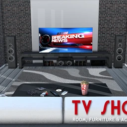 TV SHOW room furniture and accessories