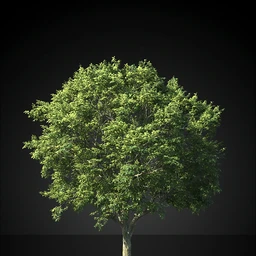 UltraTrees – Realistic Tree System