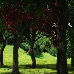 Variety of Tree Species for Iray