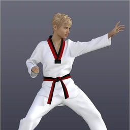 dForce H&C Taekwondo Suit for Genesis 8 Female(s)