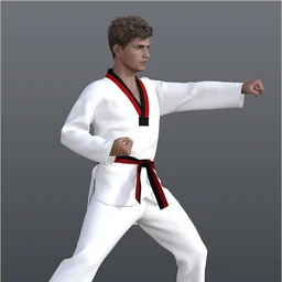 dForce H&C Taekwondo Suit for Genesis 8 Male(s)