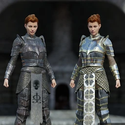 dForce High Paladin Textures