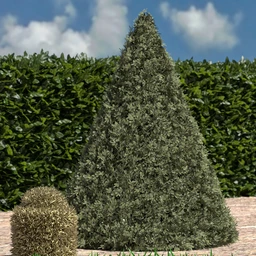 dForce Thicket Shapes