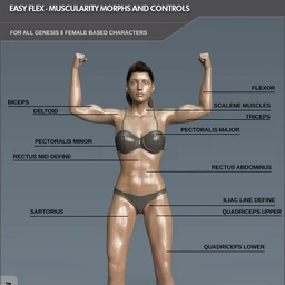 Easy Flex – Muscularity Morphs for Genesis 8 Female and Merchant Resource