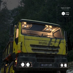 Euro Dump Truck