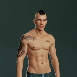 Falcon Character and Hair for Genesis 8 Male