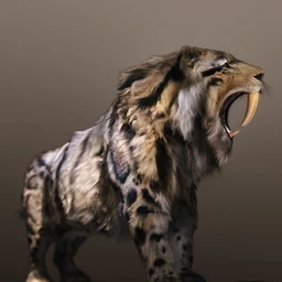 Felidae by AM – Smilodon Populator