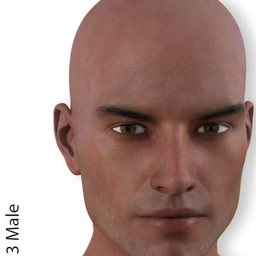 Genesis 3 Male Merchant Resource – Medium Skin