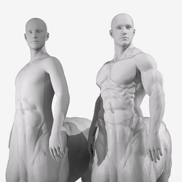 HD Physique Shaping for Genesis 8 Male Centaur