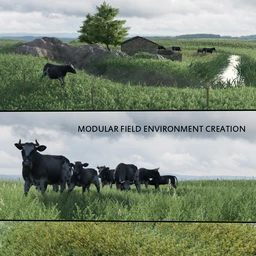 Modular Field Environment