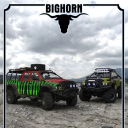 Bighorn Safari
