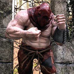 dForce Basic Outfit for Ogre HD and Genesis 8 Male