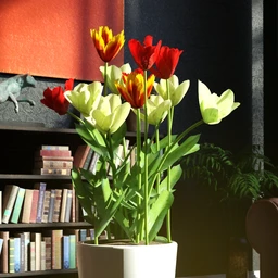 Garden Flowers Vol 2. Tulip Plants