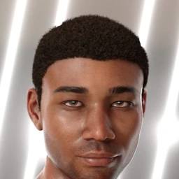 Malik Hair for Genesis 8 and Genesis 3 Male(s)