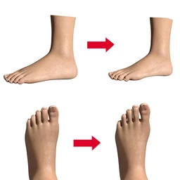 NecDAZ Real Feet Pack