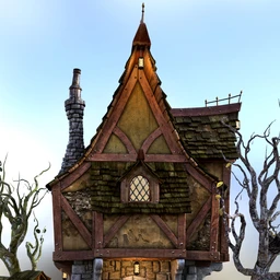 Old Crone’s Home