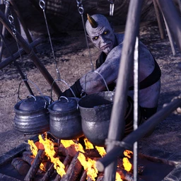 Primitive Medieval Campsite