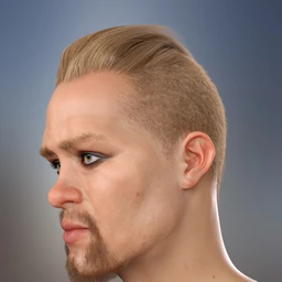 Sitric Hair for Genesis 8