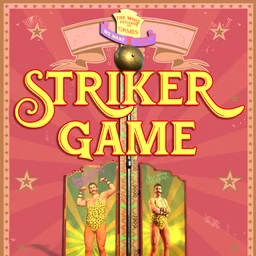 Striker Game