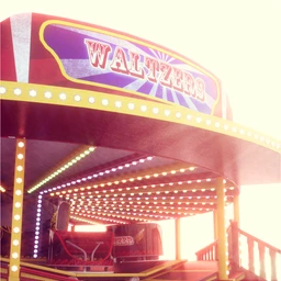 The Waltzers