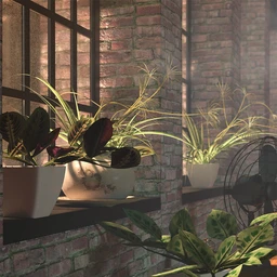 Tropical Plants Vol 4 – House Plants