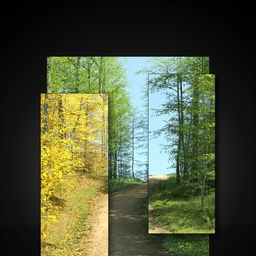 UltraScenery – Harpwood Trail