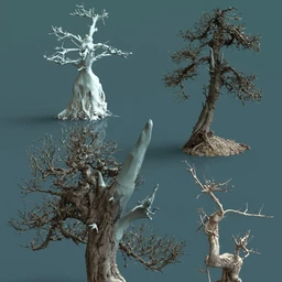 4 Dead Bonsai Trees