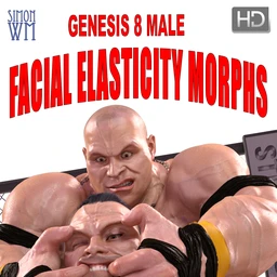 Genesis 8 Male Facial Elasticity Morphs