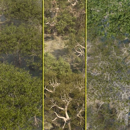 Low Resolution Tropical Trees and Shrubs