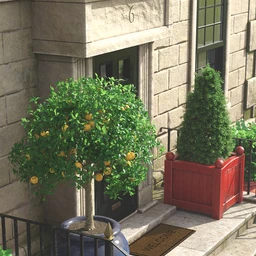 Predatron Ornamental Trees and Bushes