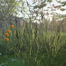 Simply Grass – The Rough Stuff